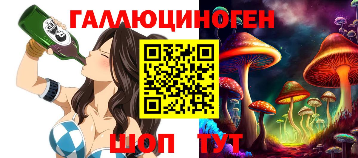 Галлюциногенные грибы Psilocybe Богданович