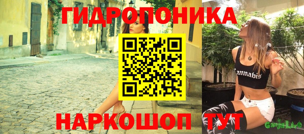 Конопля ГИДРОПОН Богданович